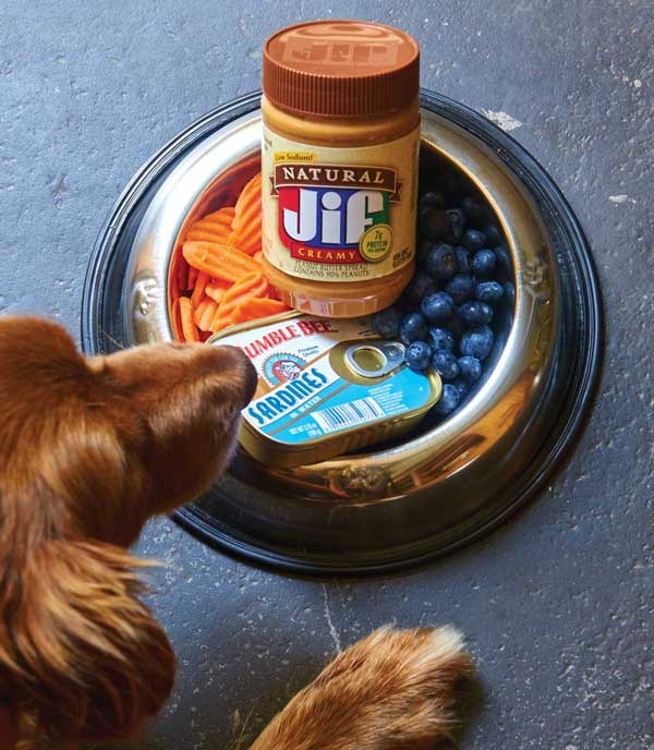 Can dogs eat jif peanut clearance butter