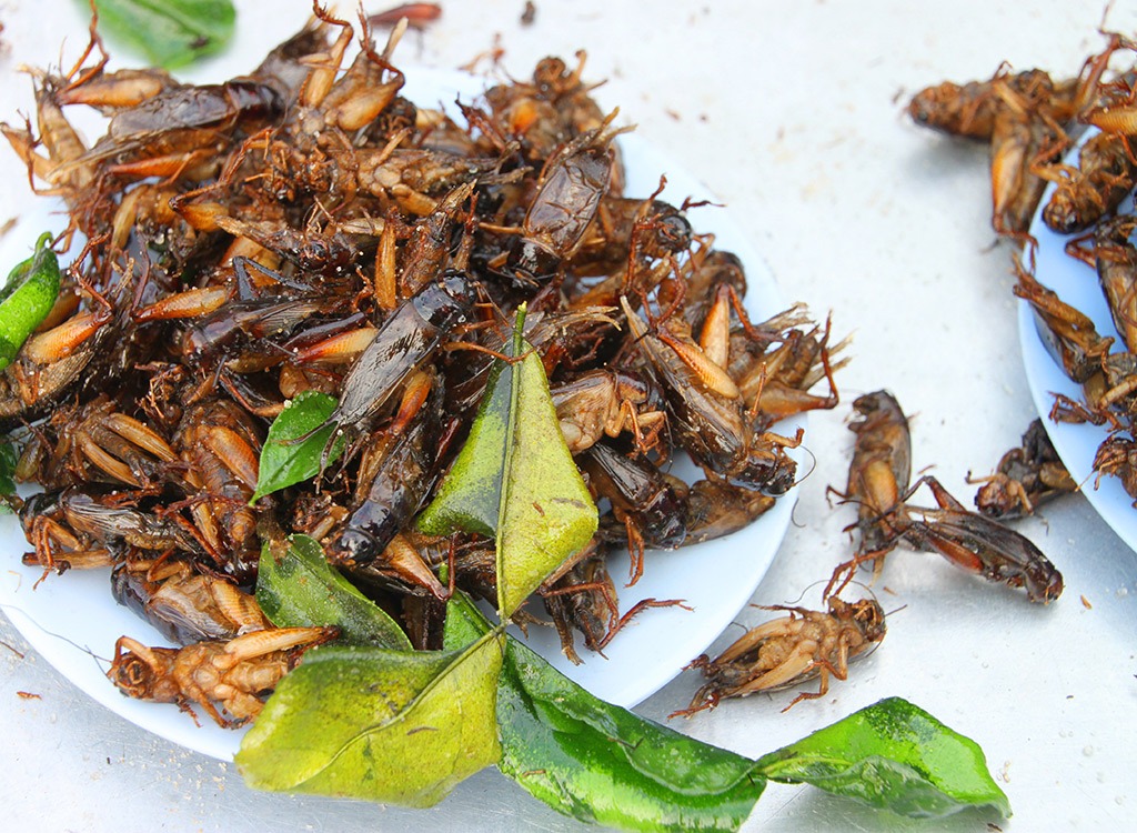 You Are Eating Bugs Without Even Knowing It Eat This Not That