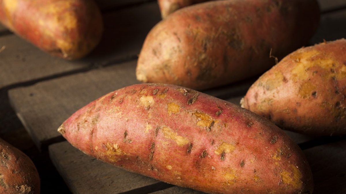 Yams vs. Sweet Potatoes What's the Difference? Eat This Not That