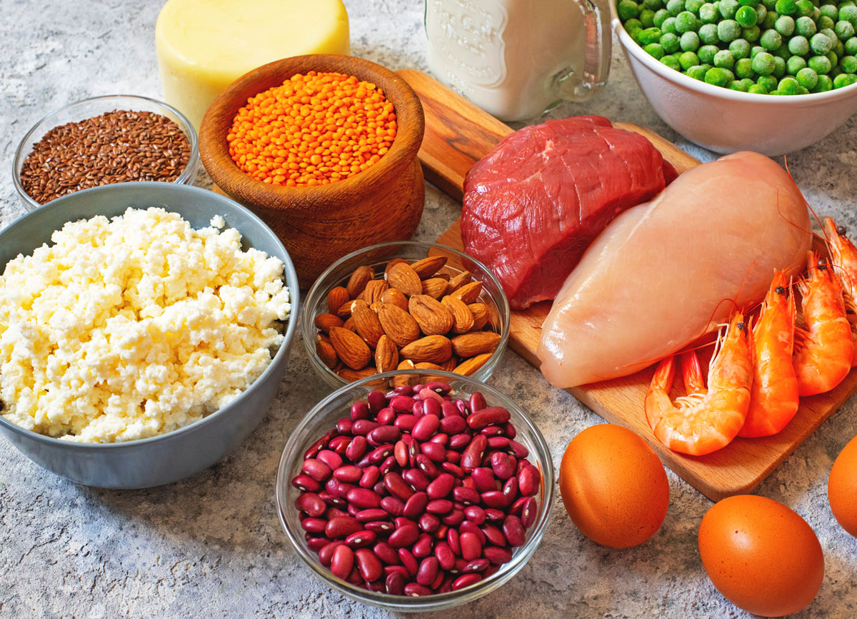 Plant and animal protein sources - chicken cheese beans nuts eggs beef shrimp peas