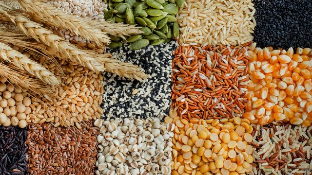 different types of grains