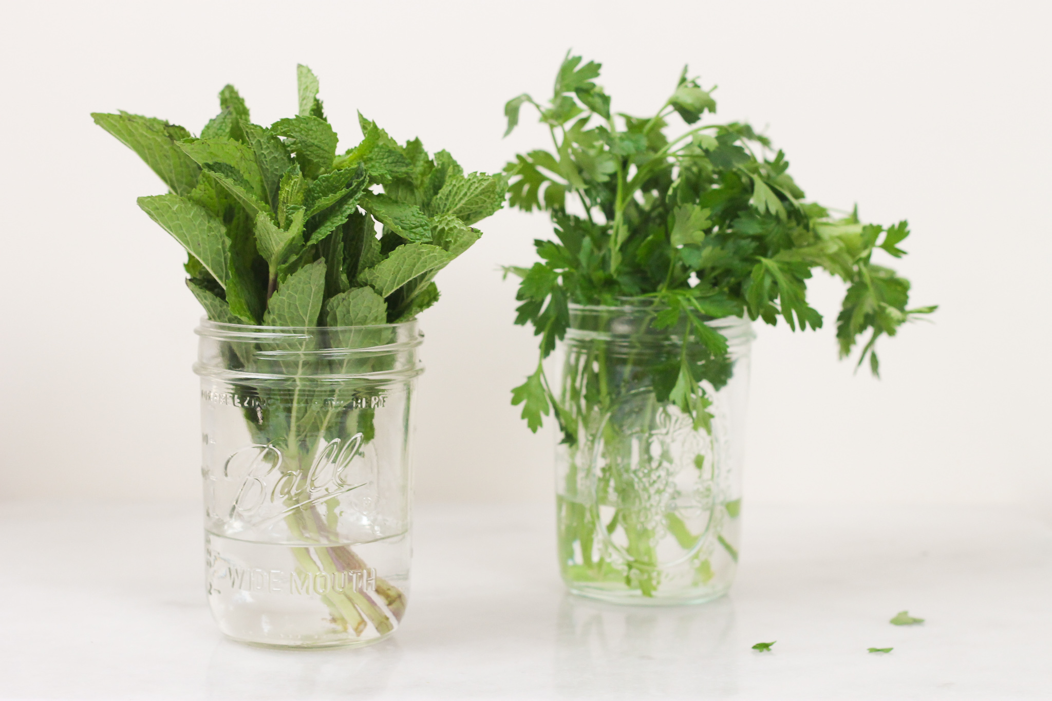 herbs-water-jar