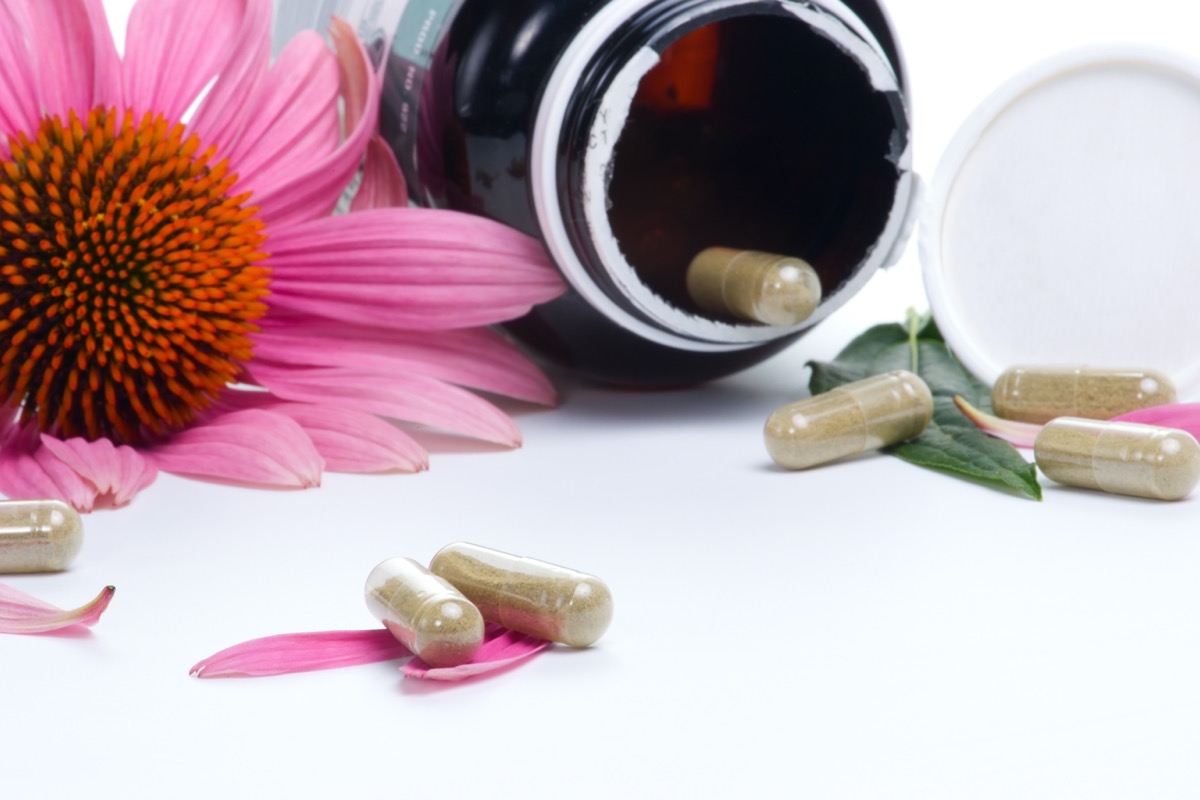 What Happens to Your Body When You Take Echinacea Every Day