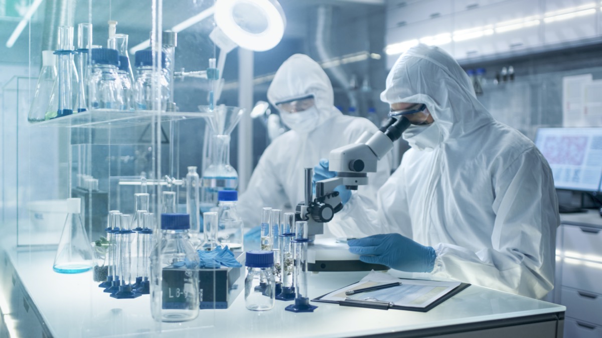 Chemist Adjusts Samples in a Petri Dish with Pincers and then Examines Them Under Microscope