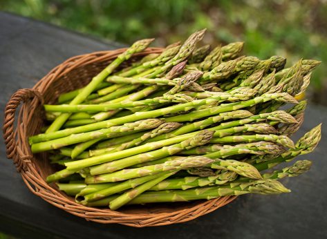 9 Science-Backed Benefits of Eating Asparagus