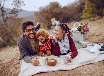 dog at a picnic