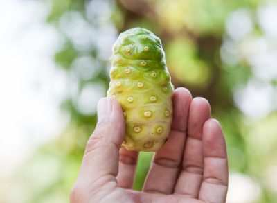 noni fruit