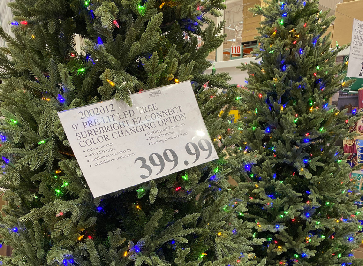 Pre lit christmas on sale trees costco