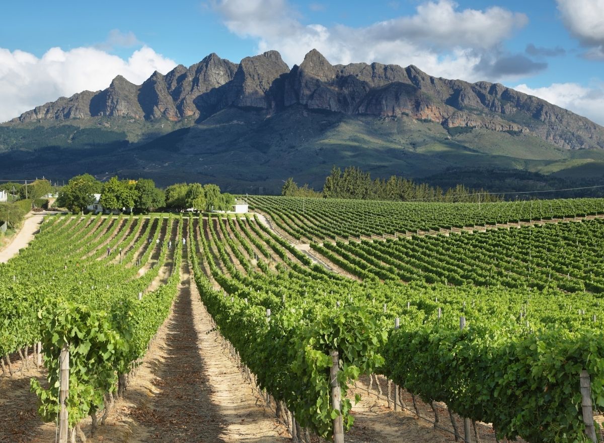 This Country Makes the Best Wine in the World, Says New Data — Eat This ...