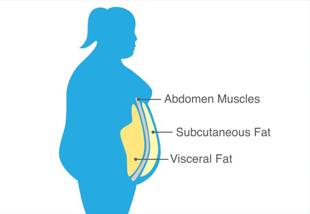 I’m a doctor and here’s the # 1 sign that you have visceral fat - eat ...