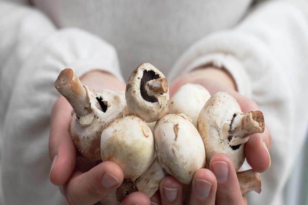 One Major Side Effect Of Eating Mushrooms, Says Dietitian — Eat This ...