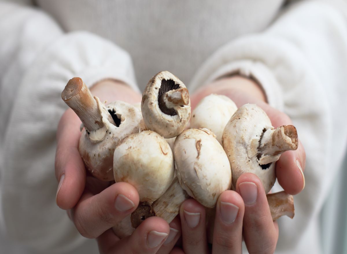 One Major Side Effect of Eating Mushrooms, Says Dietitian — Eat This Not That