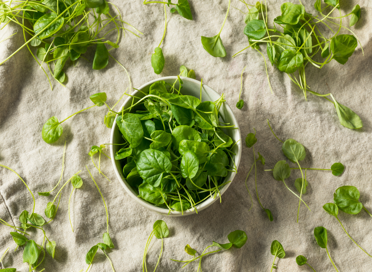 7 Benefits Of Watercress, The 'World's Healthiest Vegetable ...