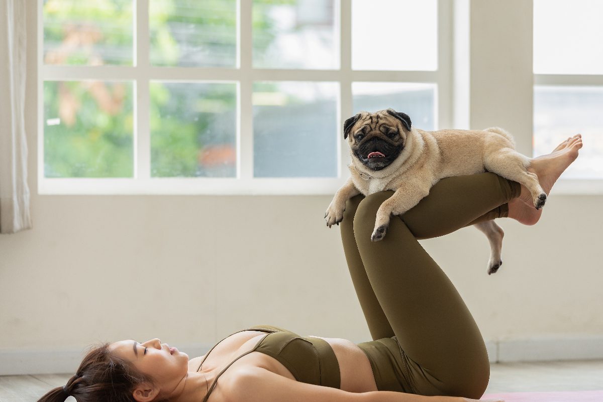 How to Exercise Your Dog Indoors