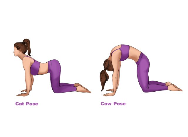 10 Back Flexibility Stretches To Improve Mobility & Performance – Fitbod