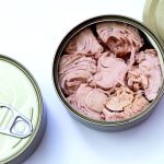 Watchdog finds some of 'mercury tested' canned tuna group's