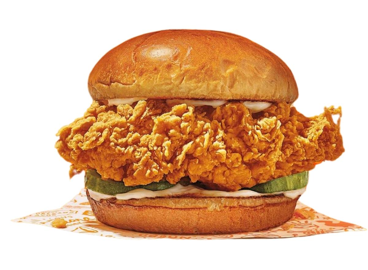 14 Best Chicken Sandwiches In America in 2023