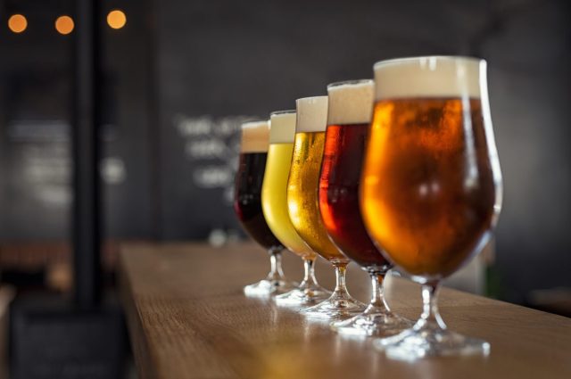 Tap beer in pint glasses arranged in a row.