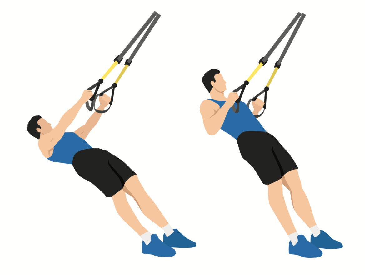 The 10 Best TRX Exercises for Belly Fat