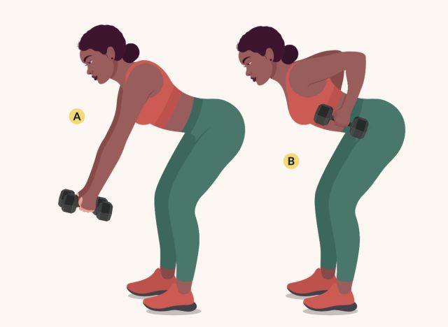 Illustration of a row of dumbbell slouches