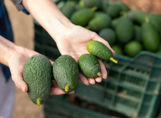 Tropical Avocados 101: How to Select, Store, Serve - The Produce Moms