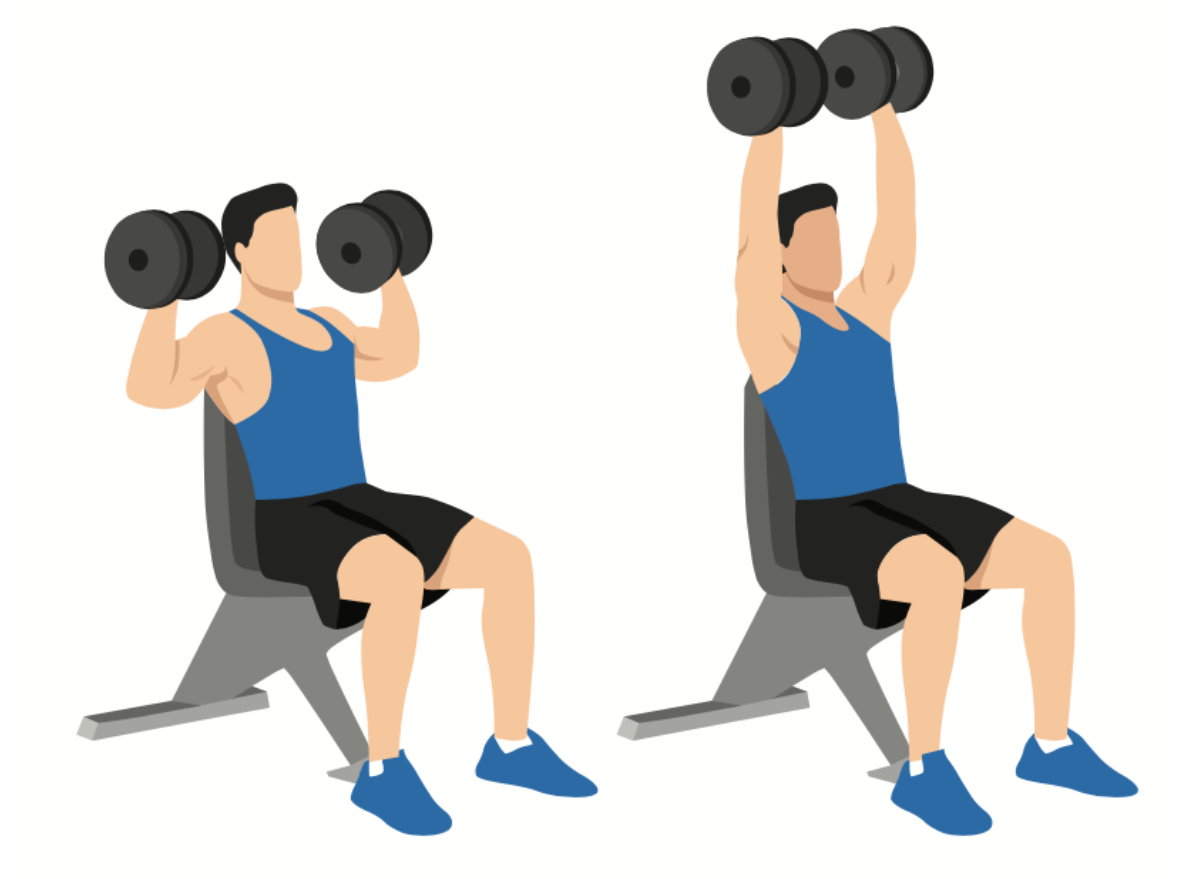 5 Strength Workouts for Men Over 60 To Defy Aging