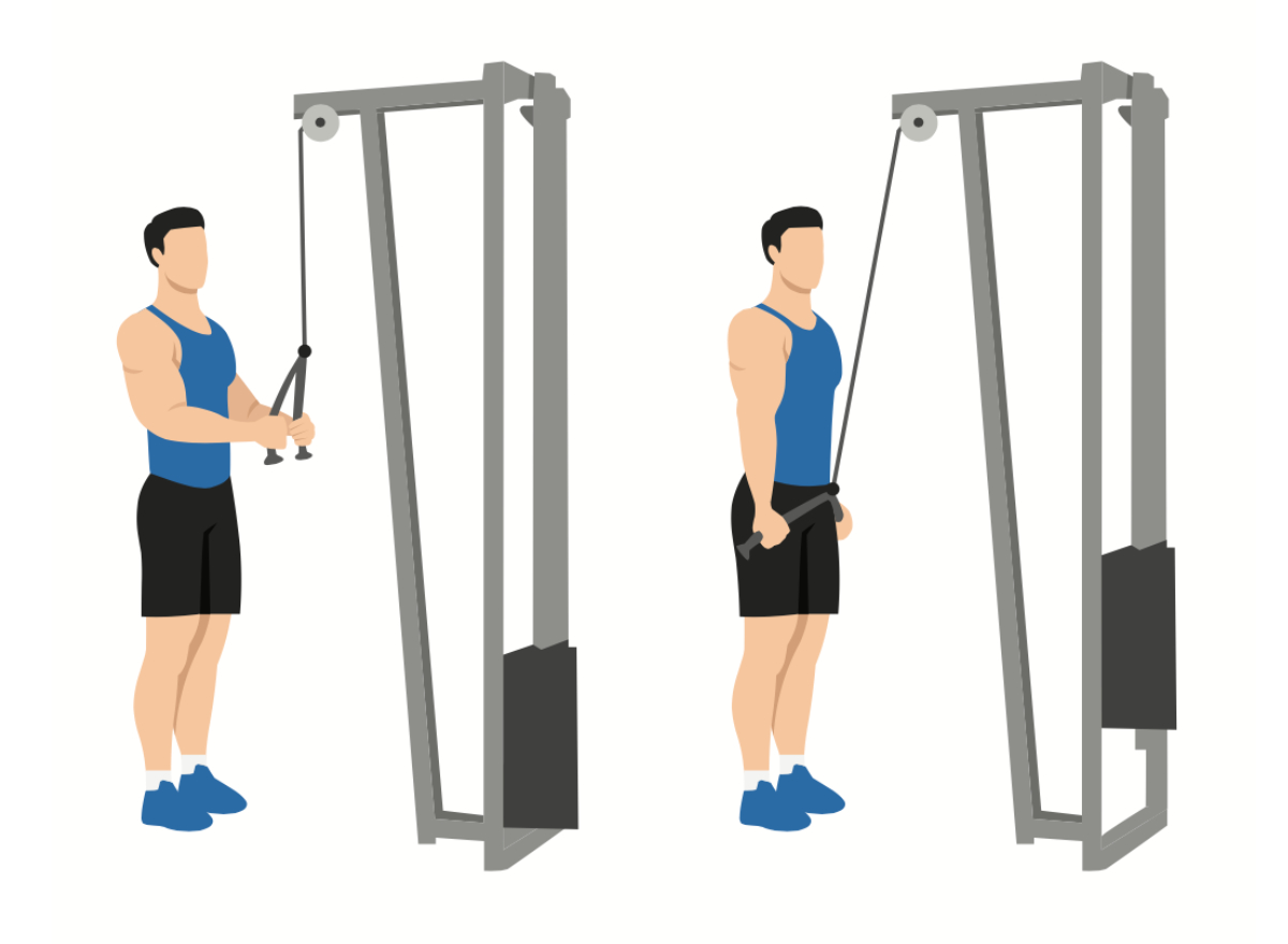 Single arm tricep discount pulldown