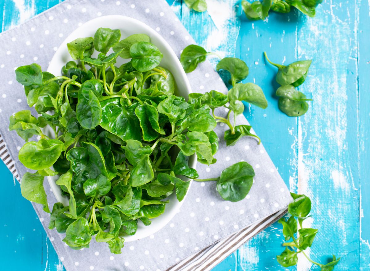 7 Benefits Of Watercress, The 'World's Healthiest Vegetable'