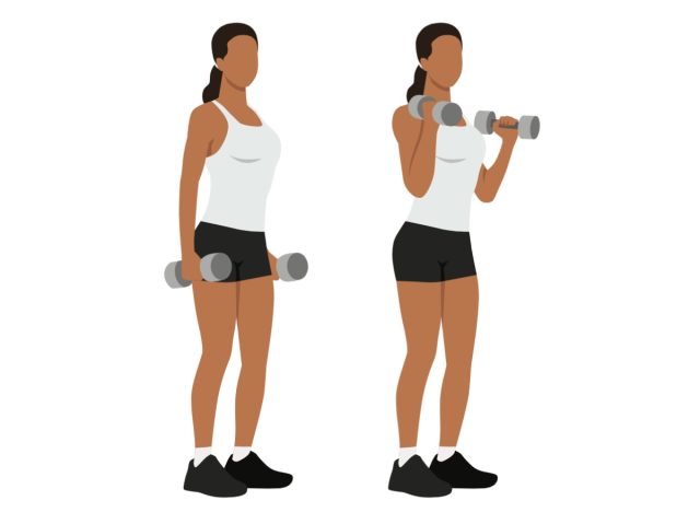 dumbbell hammer curls, concept of at-home workouts to melt turkey wing arm fat
