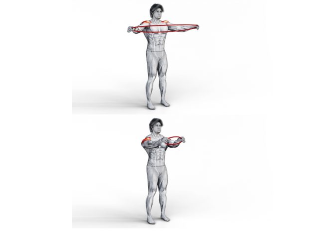 resistance band pull-apart, concept of weight-bearing exercises for adults