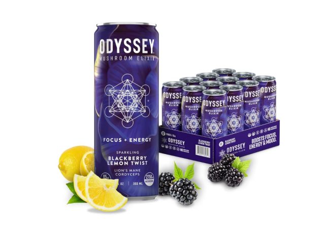 case of Odyssey Mushroom Elixir drink on a white background