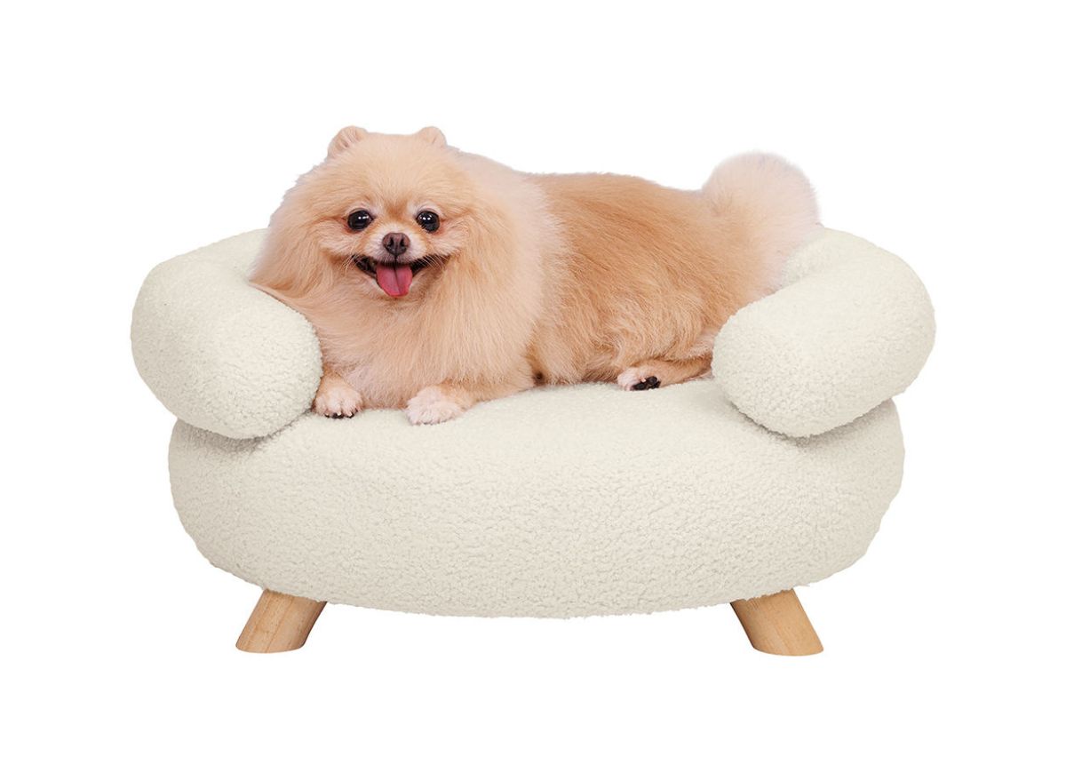 The 15 Best Aldi Products You Can Find In February   Heart To Tail Luxury Pet Sofa 