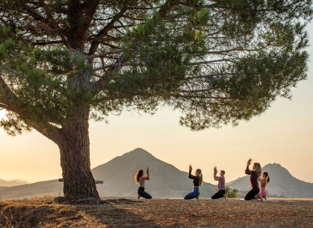 SLO outdoor yoga class under a big tree surrounded by mountains at sunrise or sunset