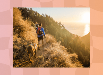 fit couple hiking on mountain trail with their dog during sunset