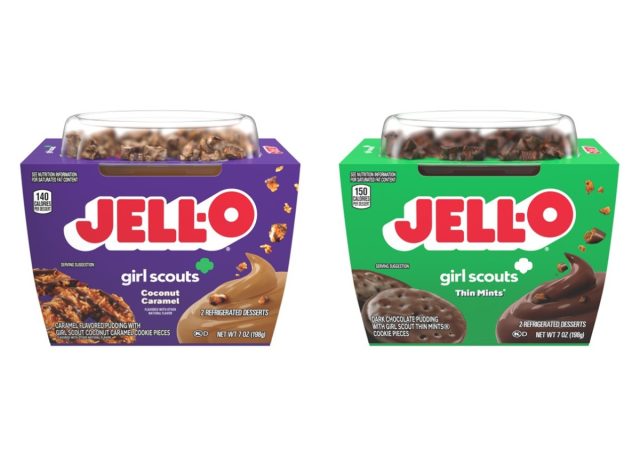 jell-o coconut caramel and thin mint pudding cups