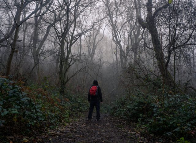 hiker with rucksack in woods on dreary day