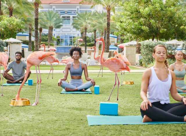 flamingo yoga at SLS Baha Mar