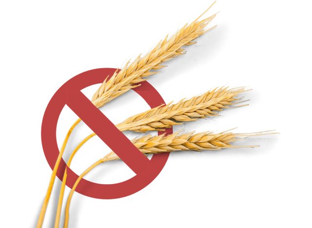 no wheat concept. Gluten Free. Banned Wheat