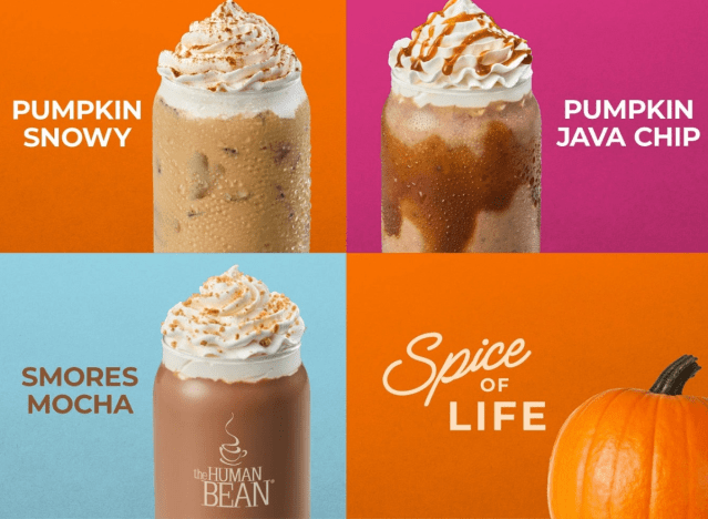 fall drinks at the human bean