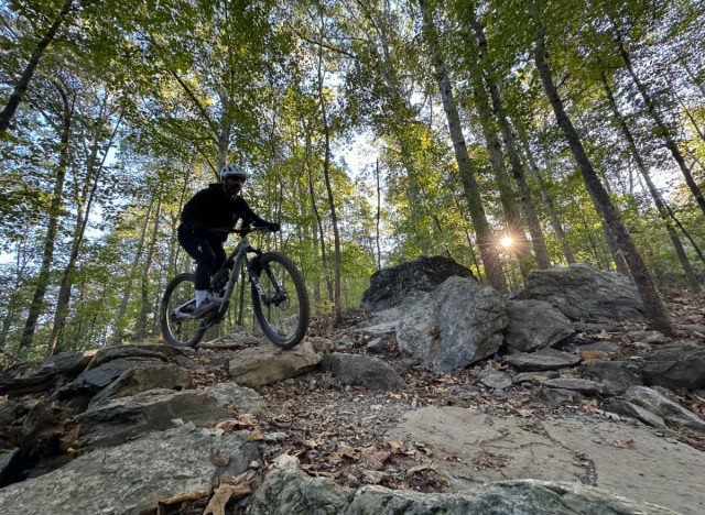 mountain biking through trails in the woods