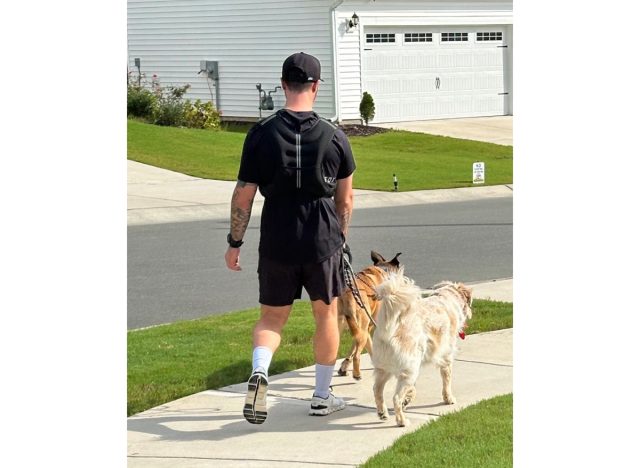 trainer walking dogs with weighted vest