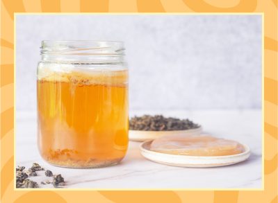 kombucha starter in a glass jar bottle with healthy Kombucha SCOBY