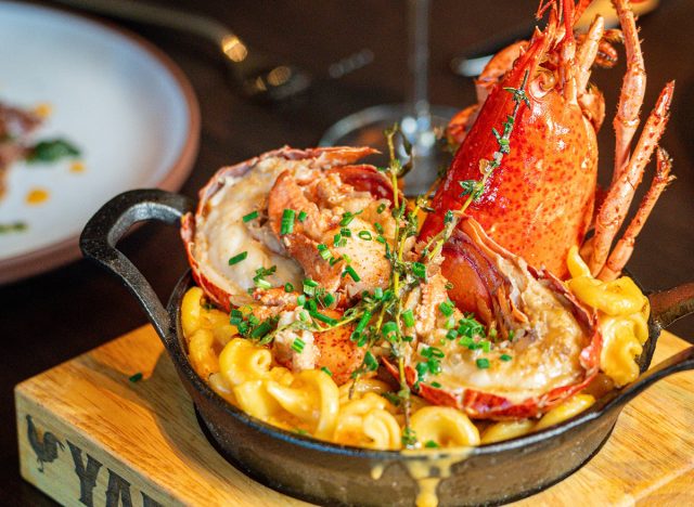 Yardbird Lobster Mac and Cheese 