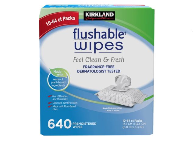 Kirkland Disposable Wipes