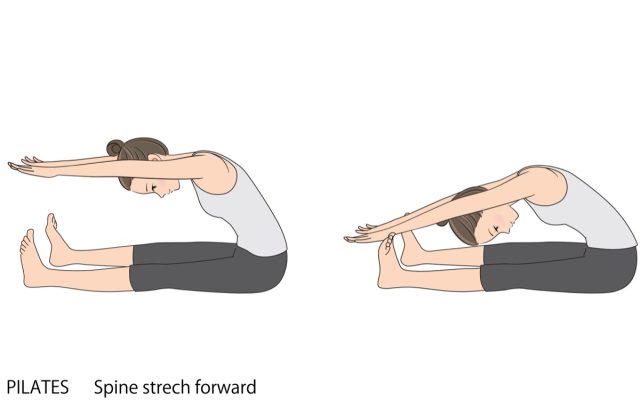 Pilates sequence, Spine stretch forward