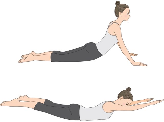 Pilates Sequence, vector illustration of Swan Dive