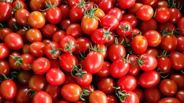 tomato, red, small, fruit, background, food, organic, color