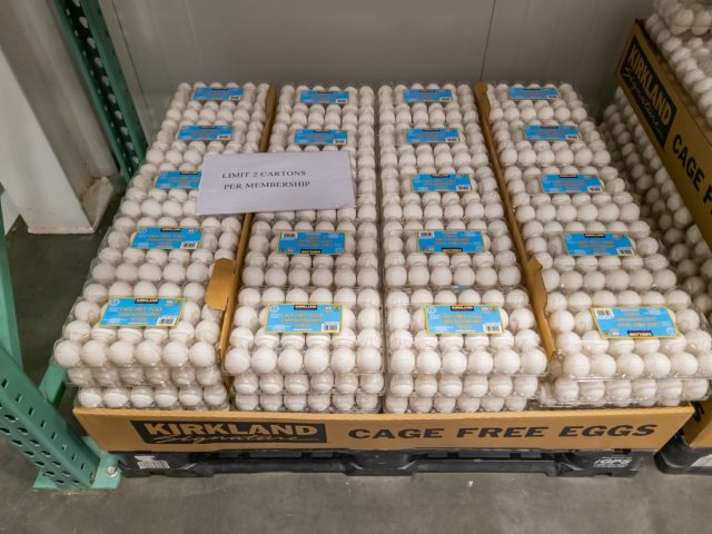 January 13, 2023- Bloomfield Hills, MI, USA: A pallet of Kirkland signature cage free eggs with a limit of two cartons per membership for sale at Costco.