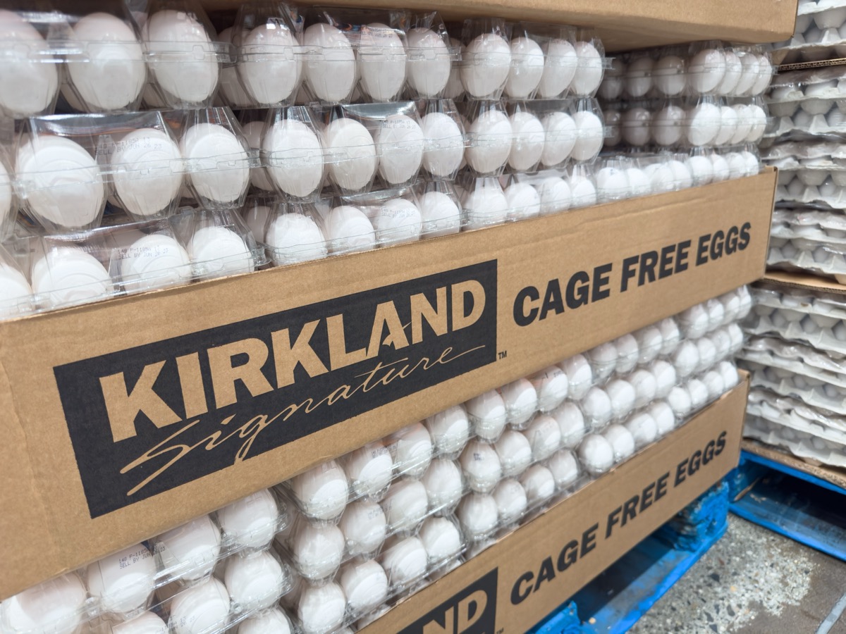 Los Angeles, California, United States - 05-05-2023: A view of several packages of Kirkland Signature cage free eggs, on display at a local Costco.