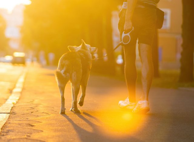 Walk the dog with a walker in the evening.